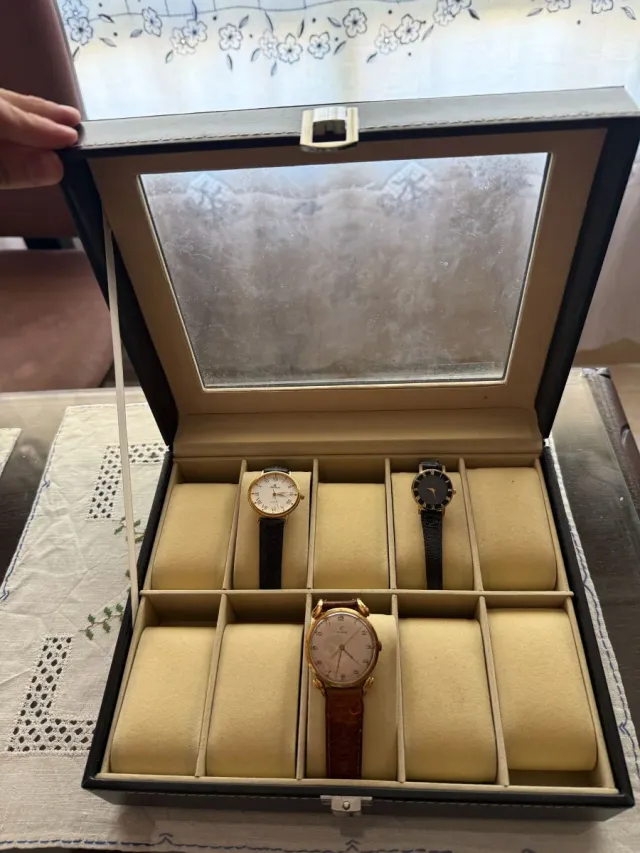 Estuche para 10 relojes