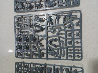 Exterminadores Ala de la Muerte Warhammer 40k