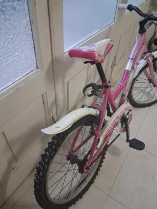Bicicletta bambina rosa GFM 20