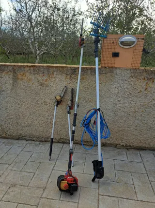 Maquinaria para olivas y motosierra telescopica