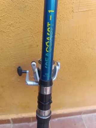 Caña y carrete de pesca