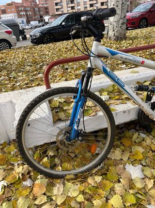 Bicicleta de montaña