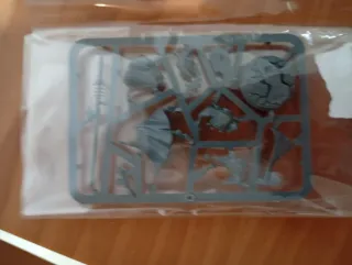 Warhammer 40k Vidente aeldari