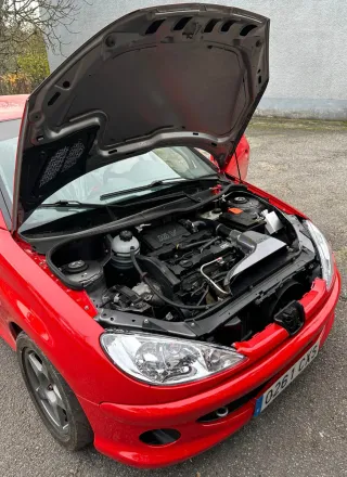 Peugeot 206 rally