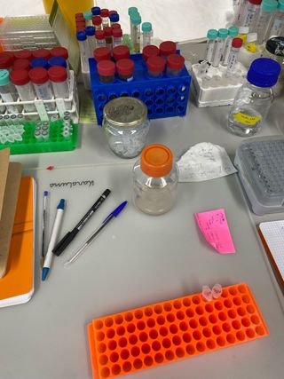 Clases particulares de Mates, Química e Inglés