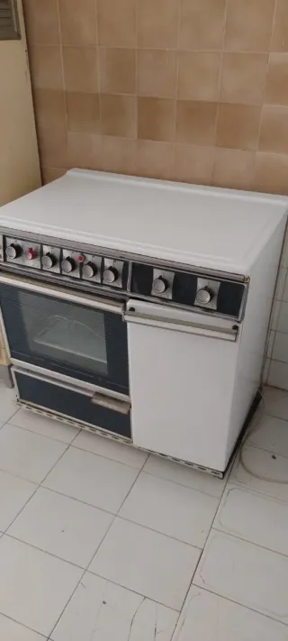 Cocina a gas con horno.