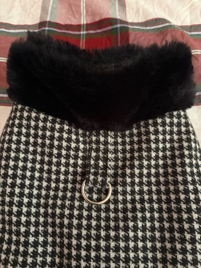 Cappotto per cani piccoli