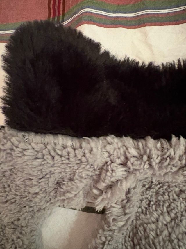 Cappotto per cani piccoli