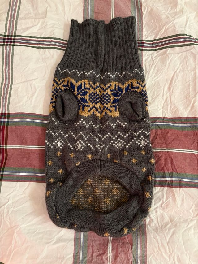 Maglione per cane multicolore