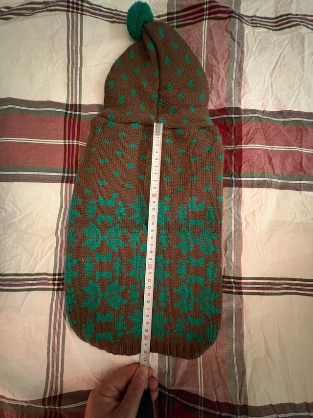 Maglione per cane con cappuccio