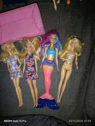 Casa Barbie, muñecas, caballos y algún mueble