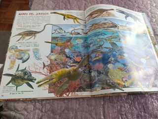 Busca los dinosaurios