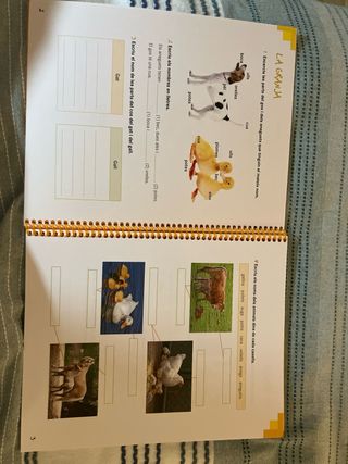 Practica i aprèn Llengua catalana 2 Primària