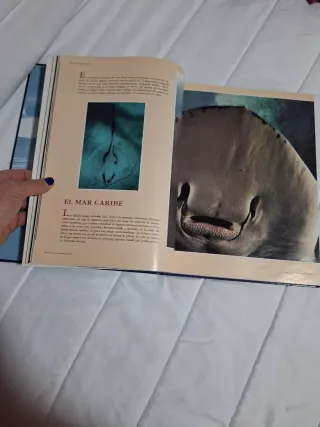 Libro Los reinos del Mar