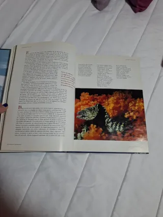 Libro Los reinos del Mar