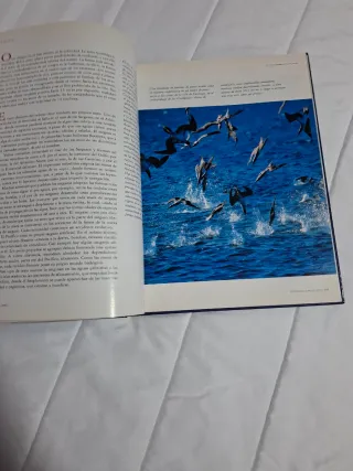 Libro Los reinos del Mar
