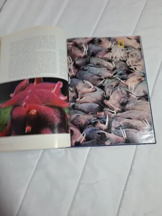 Libro Los reinos del Mar