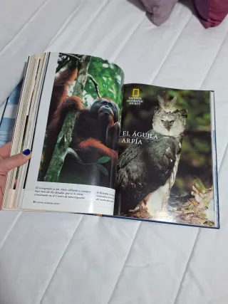 Libro Los reinos del Mar