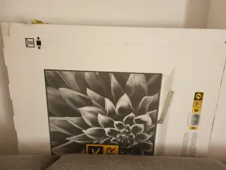 Televisión Sony 65"  LED UltraHD 4K