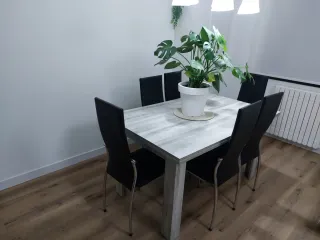 Muebles de salón completos más mesas y sillas