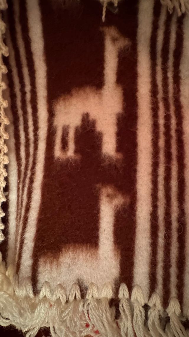 Poncho e cappello in lana bambino/a 4/5anni