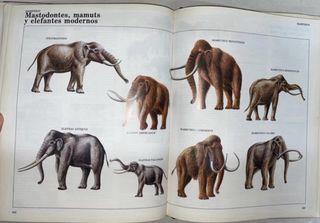 Enciclopedia Dinosaurios y Animales Prehistóricos