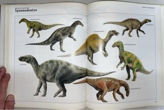 Enciclopedia Dinosaurios y Animales Prehistóricos