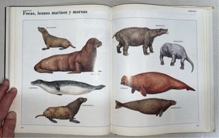 Enciclopedia Dinosaurios y Animales Prehistóricos