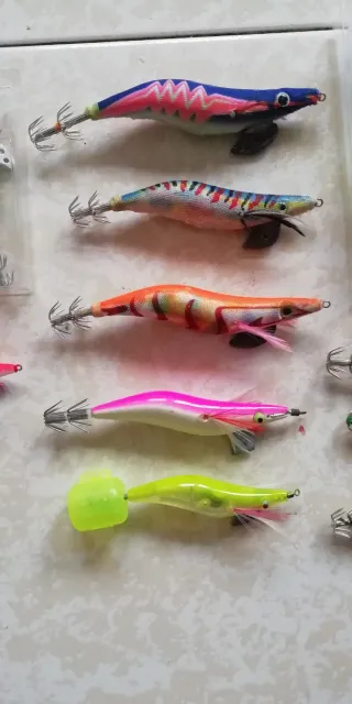 Lote Poteras Calamar Variadas