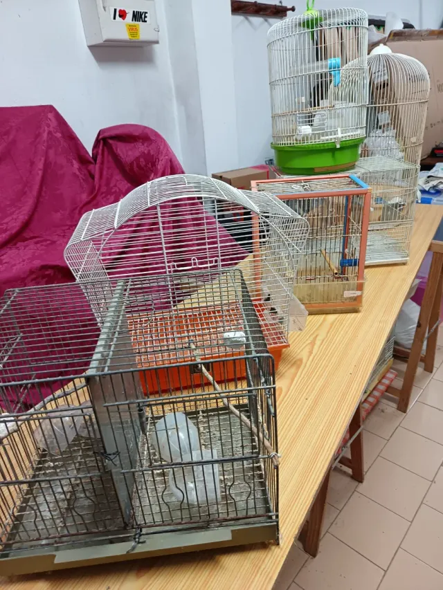 Jaulas para pájaros