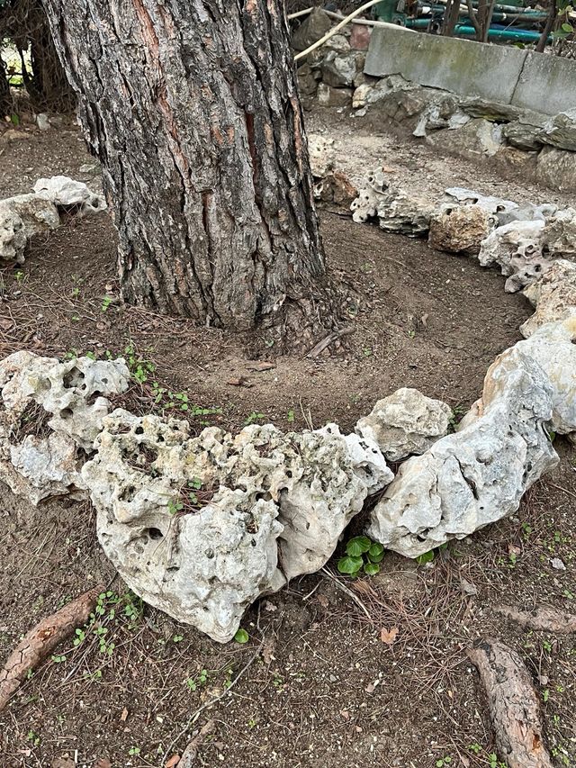 Piedras Rocalla Naturales