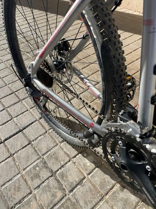 Bicicleta de montaña plateada