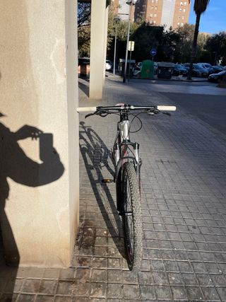 Bicicleta de montaña plateada
