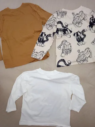 Lote 3 Camisetas Niño Manga Larga