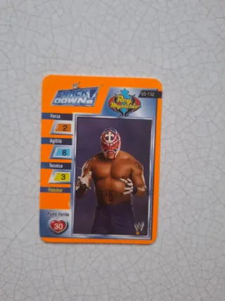 70 Carte WWE SmackDown & Raw 2004