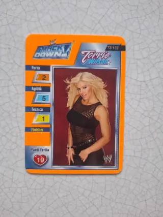 70 Carte WWE SmackDown & Raw 2004