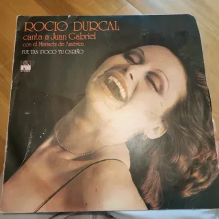 Vinilo Raphael Canta La Navidad Hispavox