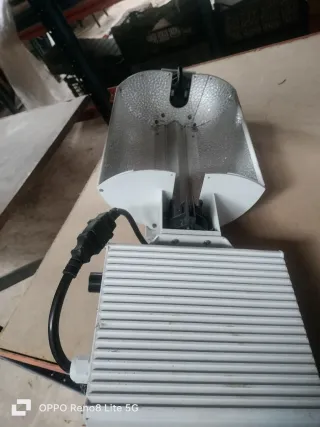 3 unidades Lámpara HPS 1000W DE Niwlite