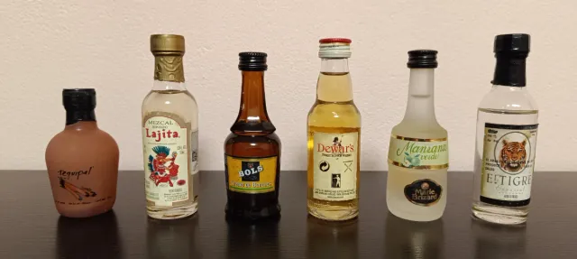 Lote 6 Botellitas Miniatura Colección