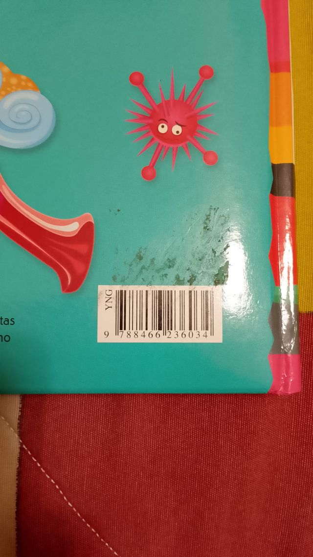 Curiosidades del Cuerpo Humano