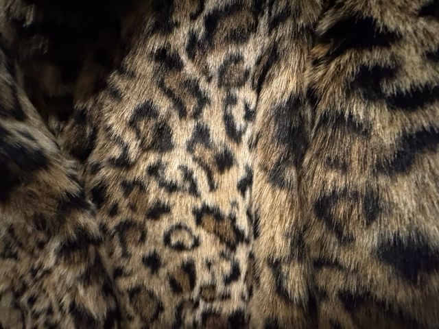 Abrigo pelo Zara estampado leopardo