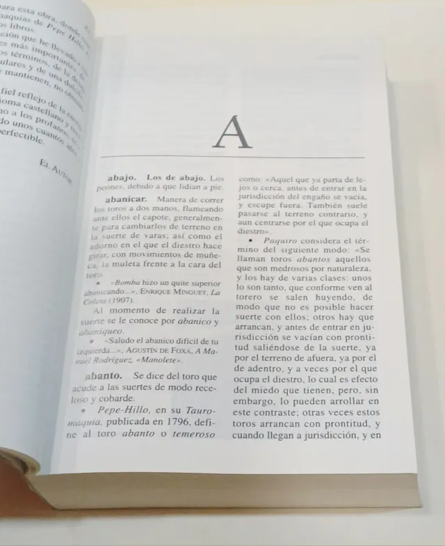 Diccionario de términos taurinos