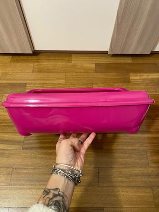 Lettiera per gatti rosa