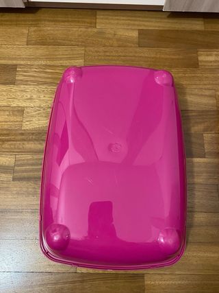 Lettiera per gatti rosa