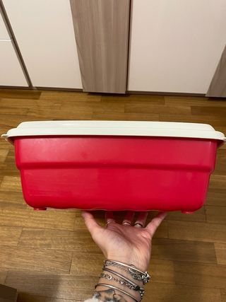 Lettiera per gatti rossa e bianca