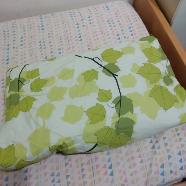 2 Erdredone de con 2 Fundas de 1,60m