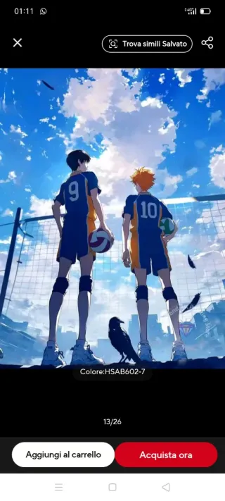 Diamond Painting Haikyu!!