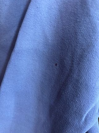 Sudadera Zara Snoopy New York Morada