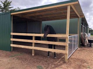 crea tu expotacion gandera o aplila economicamente