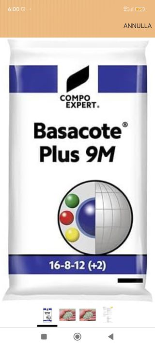 Basacote Plus 9M Concime (npk)(mg) 16-8-12 +(2)